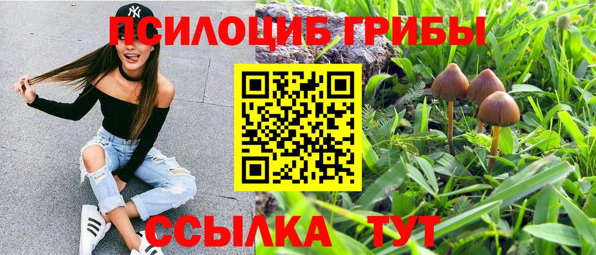 Псилоцибиновые грибы прущие грибы  Вход с VPN  сколько стоит  Гурьевск  Псилоцибиновые грибы MAGIC MUSHROOMS 